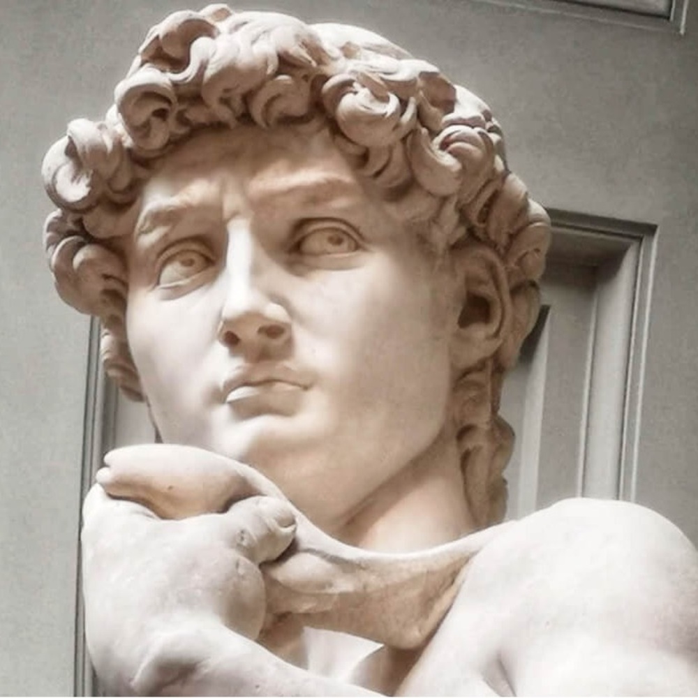 Meet your Posher, Michelangelo